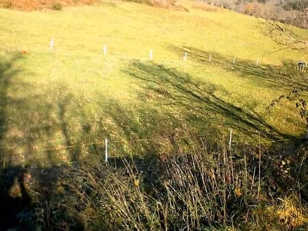 terrain constructible