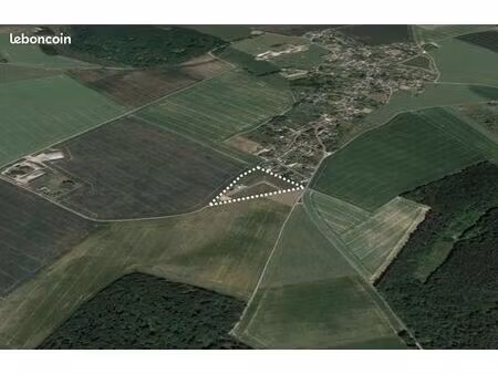 terrain 1 000 m² panilleuse