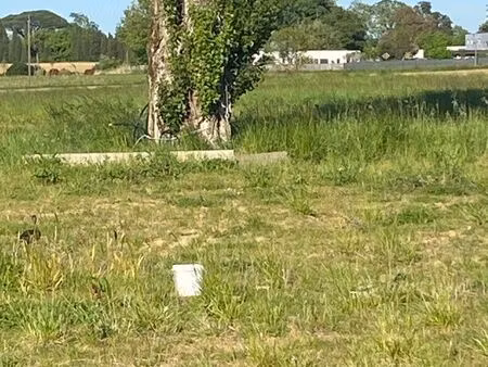 local de 130 m2 avec 1 hectare