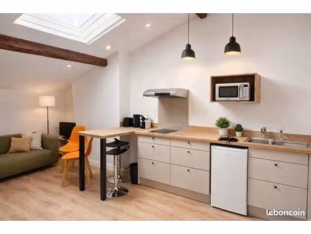 appartement hyper centre toulouse