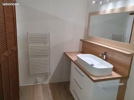 appartement t2 55 m2 hyper centre voiron 670