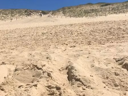 appartement 4 pièces 49 m²