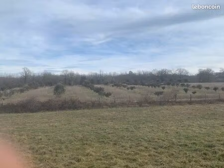 vente truffière dordogne