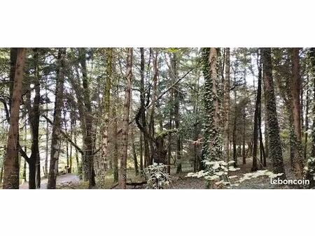 terrain avec permis de construire  1542 m2  32000e