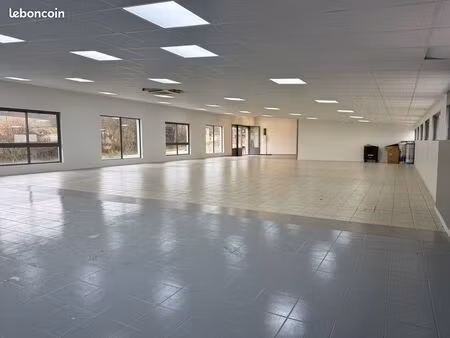 local commercial 460m2