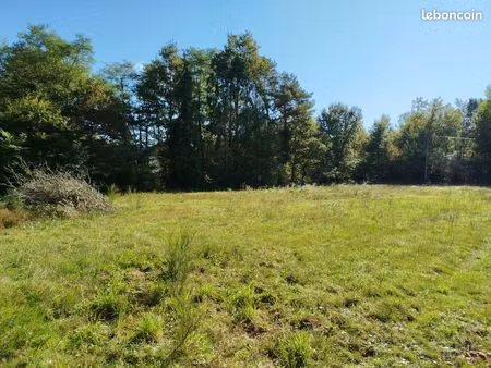 grand terrain constructible