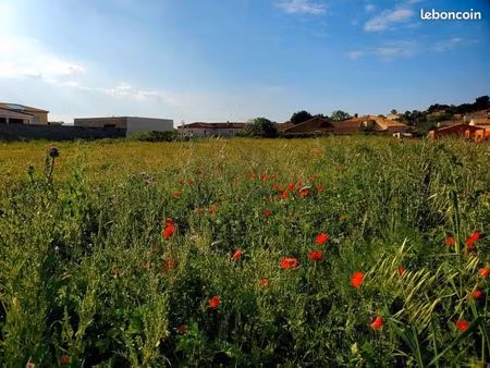 terrain 426 m² lespignan