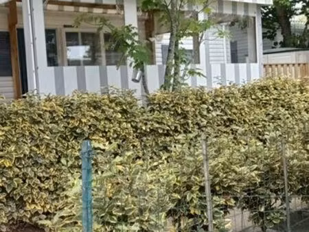 mobile home avec terrasse couverte