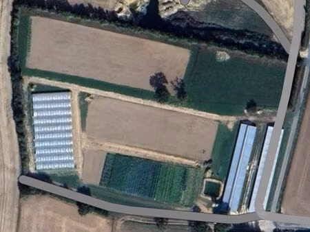 exploitation maraîchère bio