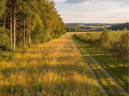 achat prairie/ foret/terrain