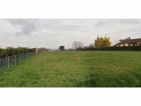 terrain 590 m² albi