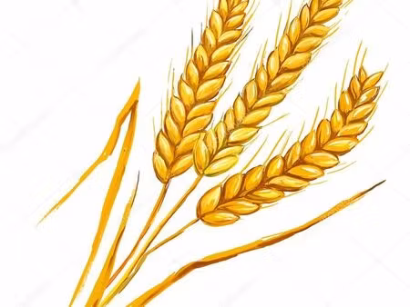 boulangerie patisserie