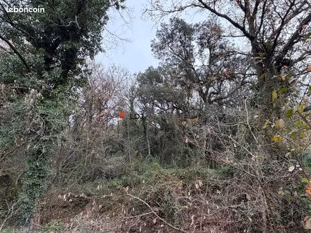 terrain 17246 m² laroque-des-albères