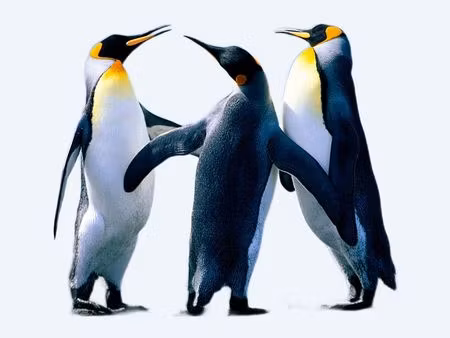 recherche terrain avec hangaer