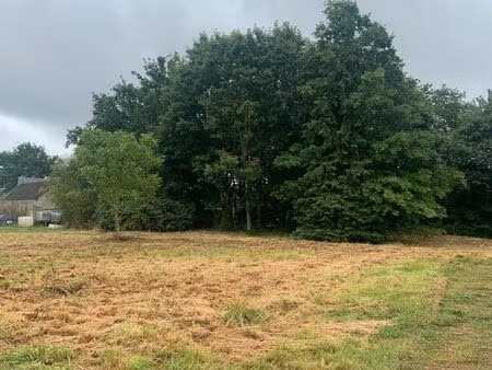 terrain constructible