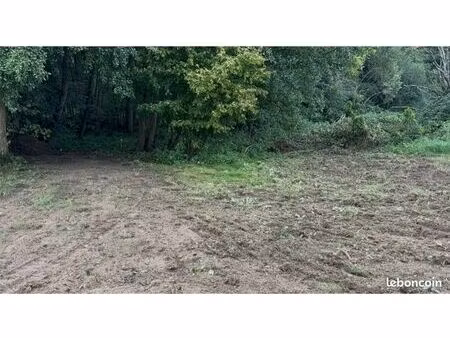 raizeux : terrain à bâtir