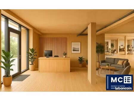 local commercial 374 m²