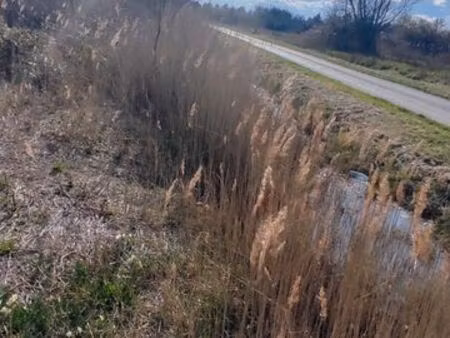 terrain à 600 m du lac