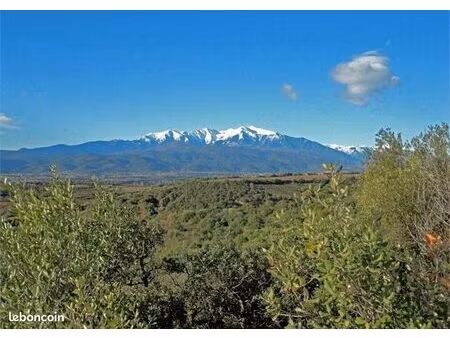 terrain et casot avec vue sur le canigou