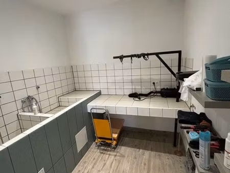 maison avec pension canine et féline + boutique