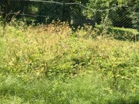 terrain 167 m² cregy les meaux