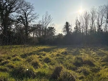 terrain 437 m² herbignac