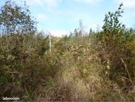 terrain agricole 4h vaucluse/ limitrophe bouche du du rhône