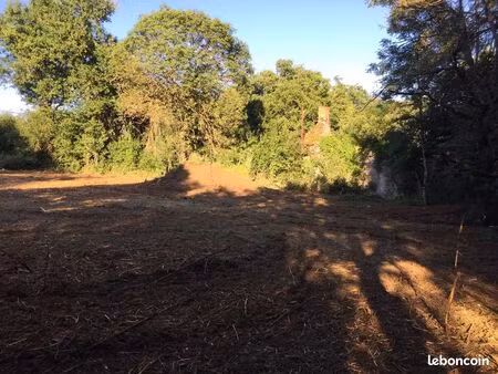 terrain viabilisé avec cu