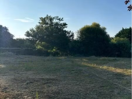 terrain viabilisé de 557m2 à pluneret