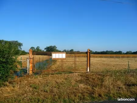 terrain constructible