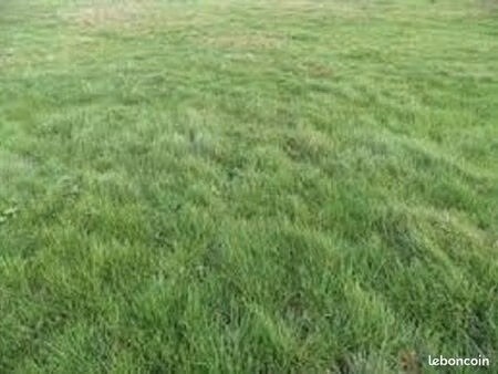 terrain 2 113 m² amponville