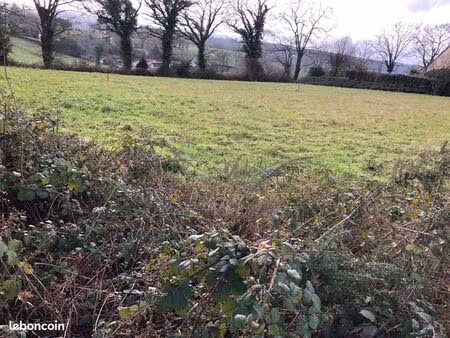 terrain constructible