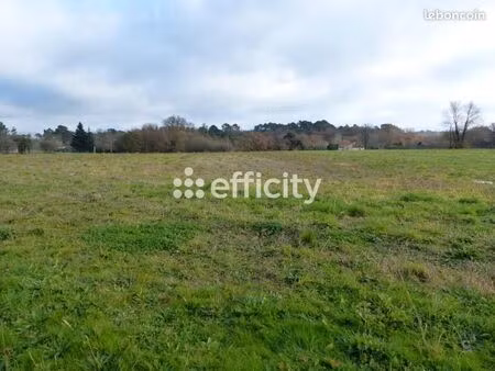 terrain 2 542 m² saint gery