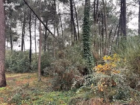 forêt 1 450 m² lacanau