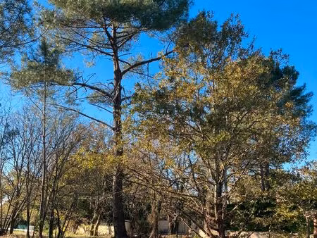 rare terrain 3412 m2 saint aubin de médoc