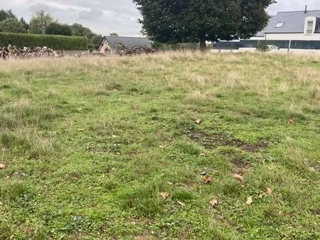 terrain constructible