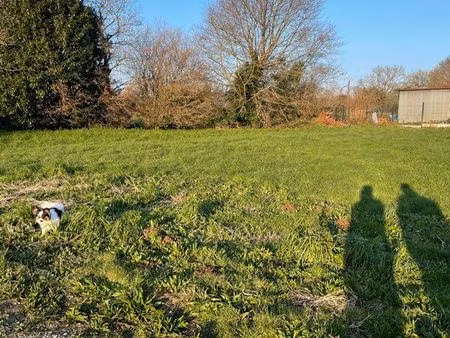 terrain constructible