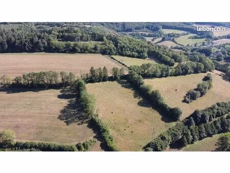 plantation forestière mixte résineux / feuillus - lacaune 81230