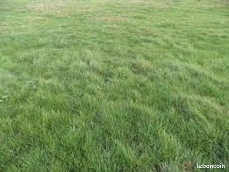 terrain 1 417 m² barbey