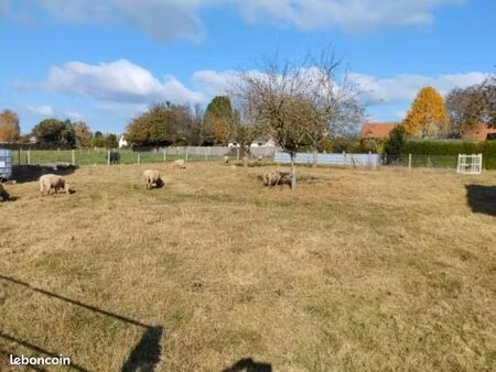 terrain à batir saint nicolas d'aliermont