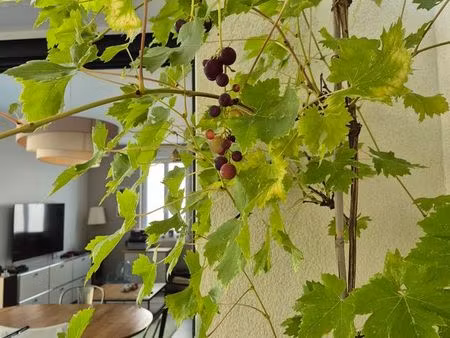 maison hyper centre havre de paix