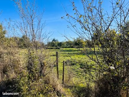 terrain 600 m² mauves sur loire