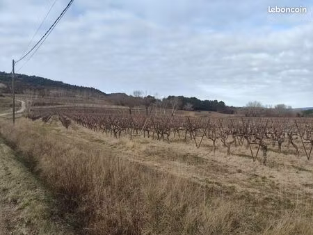 terres agricoles