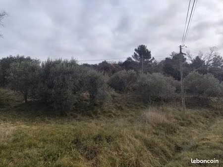 terres agricoles