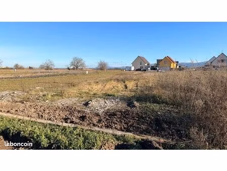terrain 503 m² bantzenheim