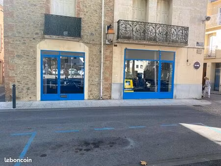 local 39 m² ille sur tet