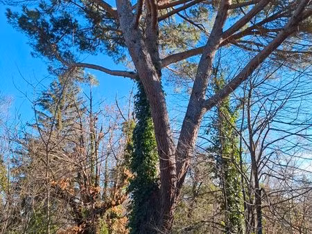 terrain constructible avec permis de construire