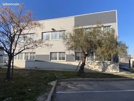 bureaux 861 m² perpignan