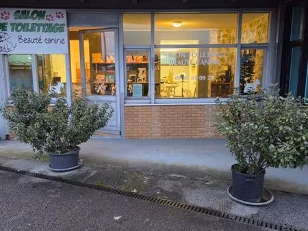 ◊ fonds de commerce salon de toilettage