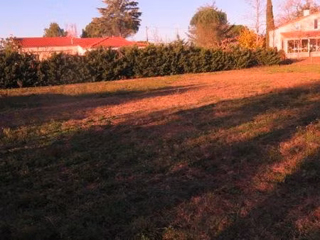 albi terrain à vendre